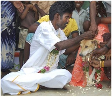 man marries dog