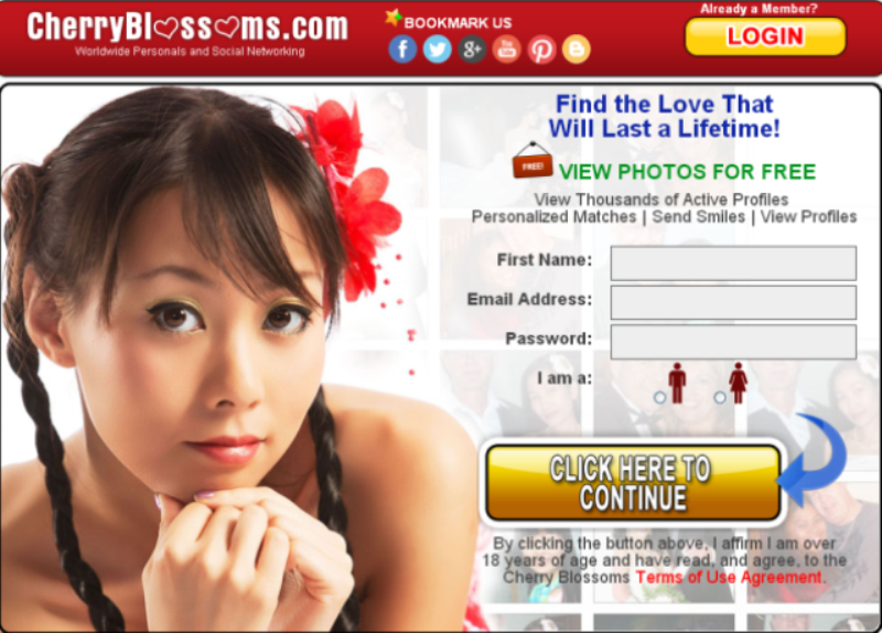 Site Features All Asian Dating 65