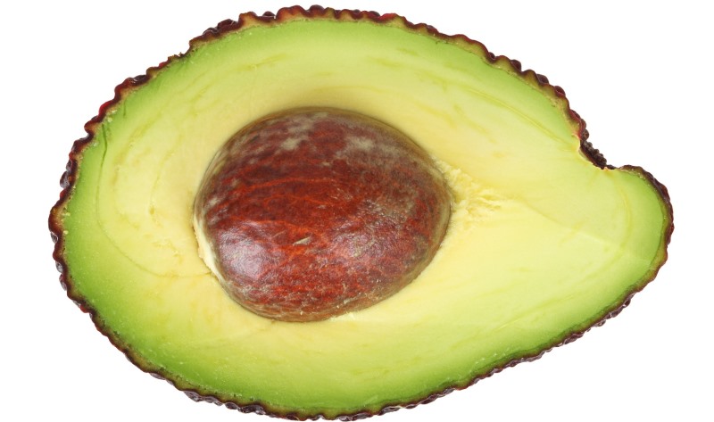 avocado_New_Love_Times