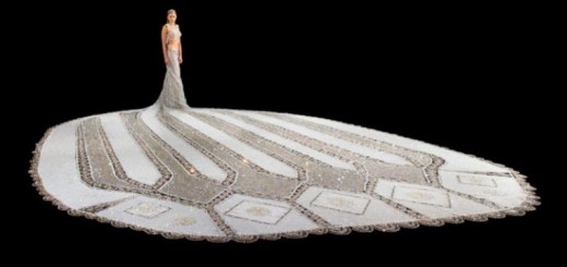 fantasy, the 170 kilogram wedding dress