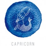 Capricorn love life 2015: What does your Zodiac sign say about your love life next year?