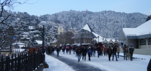 shimla