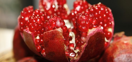 pomegranate_New_Love_Times