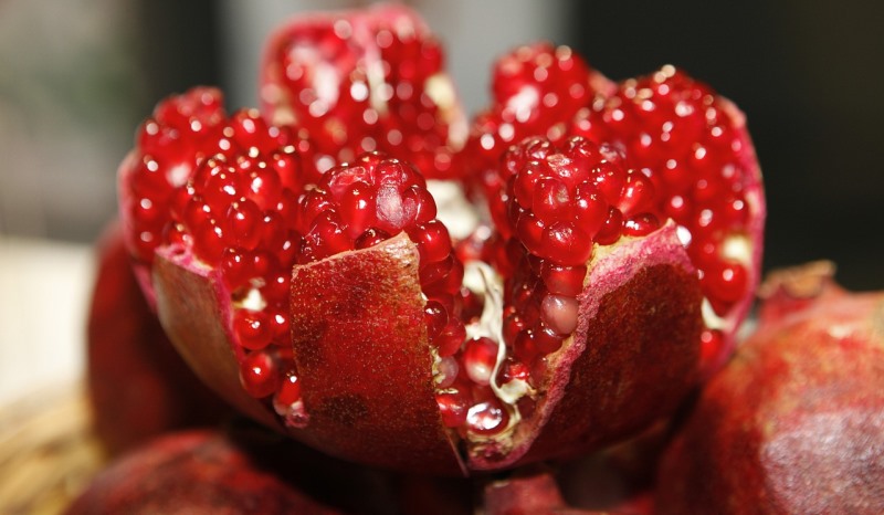 pomegranate_New_Love_Times