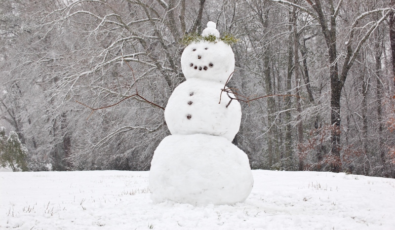 snowman_New_Love_Times