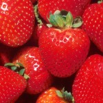 Amazing Benefits Of Strawberries For Your Skin, Hair, And Health