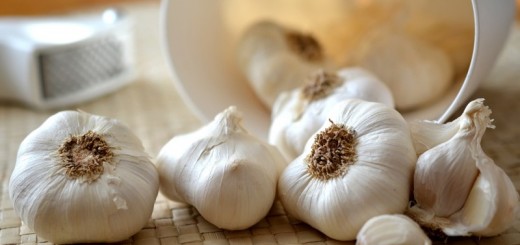 garlic_New_Love_Times