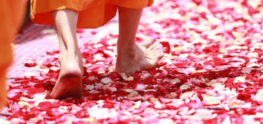 path strewn with flowers