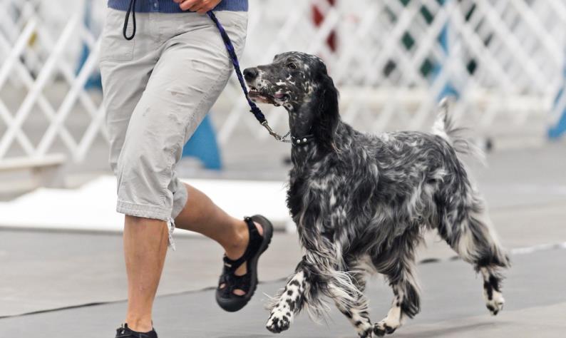 woman running with a dog