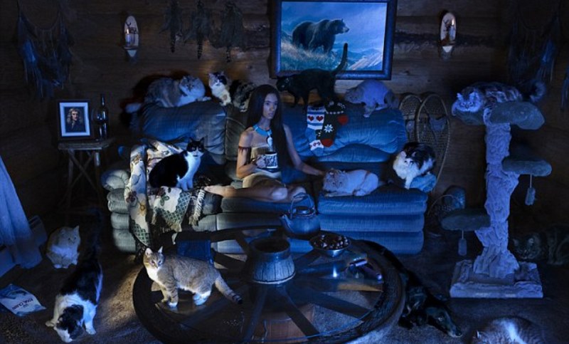 pocahontas shown watching television, surrounded by a bunch of cats