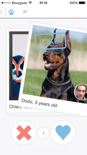 tindog app page showing a dog and its owner