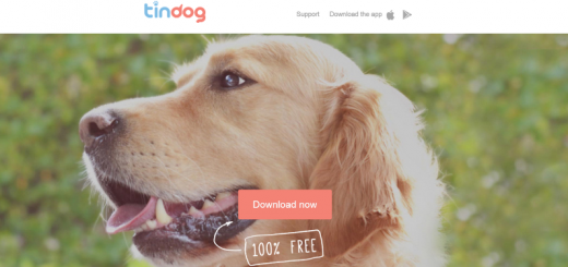 tindog home page