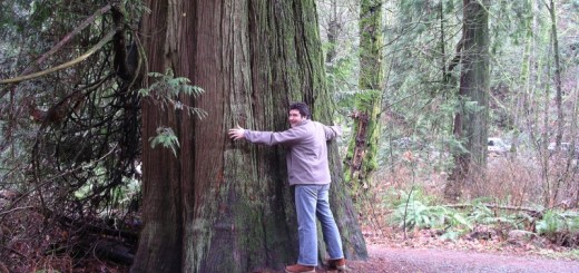 tree hugger