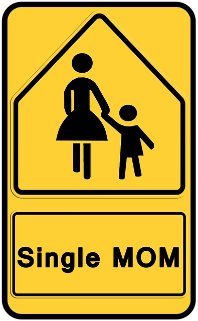 Single Mom Sign