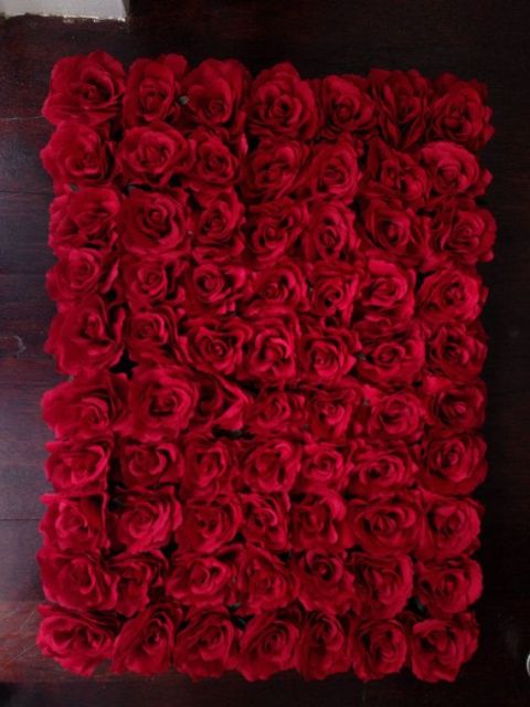 red rose backdrop