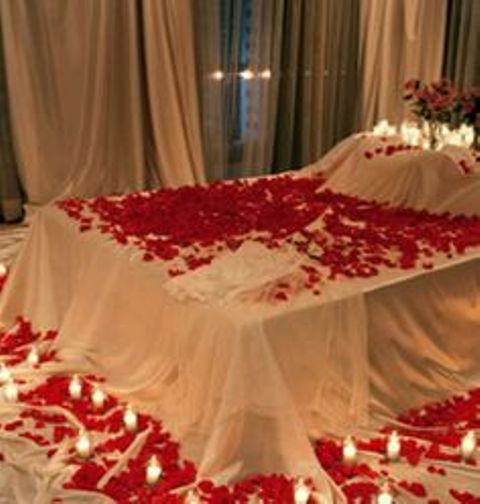 red rose bed