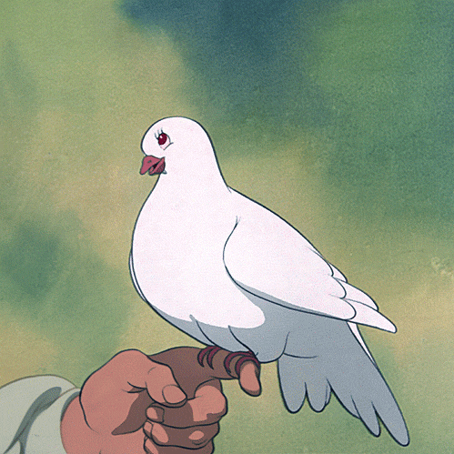 blushing pigeon