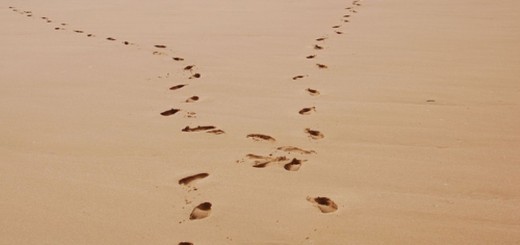 footprints diverging in different directions