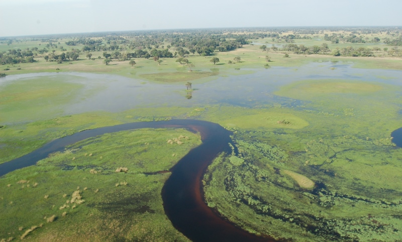 okavango delta, botswana