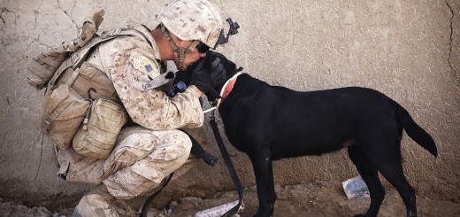 man with his dog