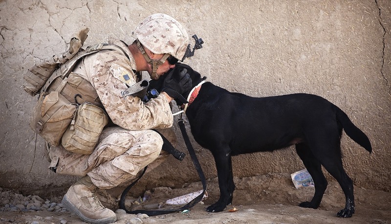 man with his dog