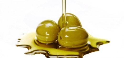 olive oil_New_Love_Times