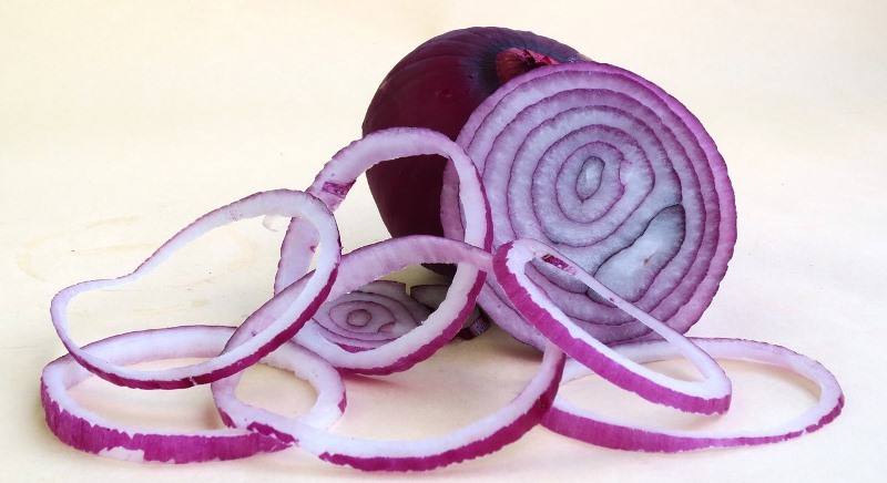 onion_New_Love_Times