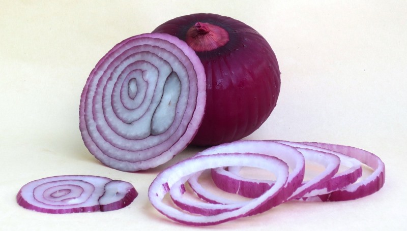 onion_New_Love_Times