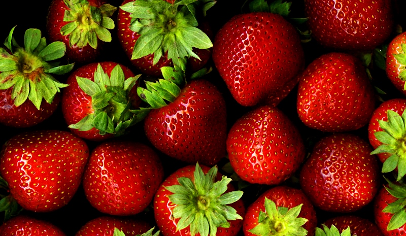 strawberries_New_Love_Times