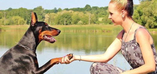 woman with her dog_New_Love_Times