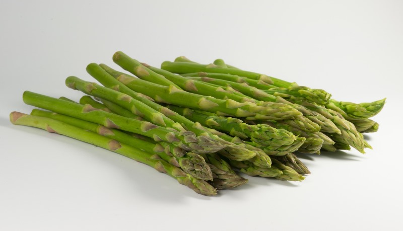 asparagus_New_Love_Times