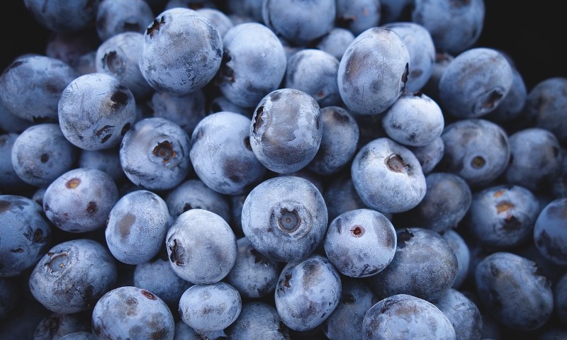 blueberries