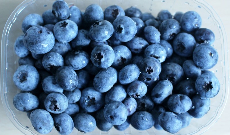 blueberries_New_Love_Times