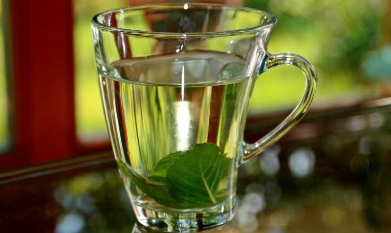 peppermint tea_New_Love_Times