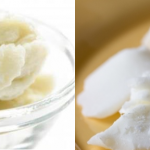 Which Is Better For Your Skin – Shea Butter Or Cocoa Butter?