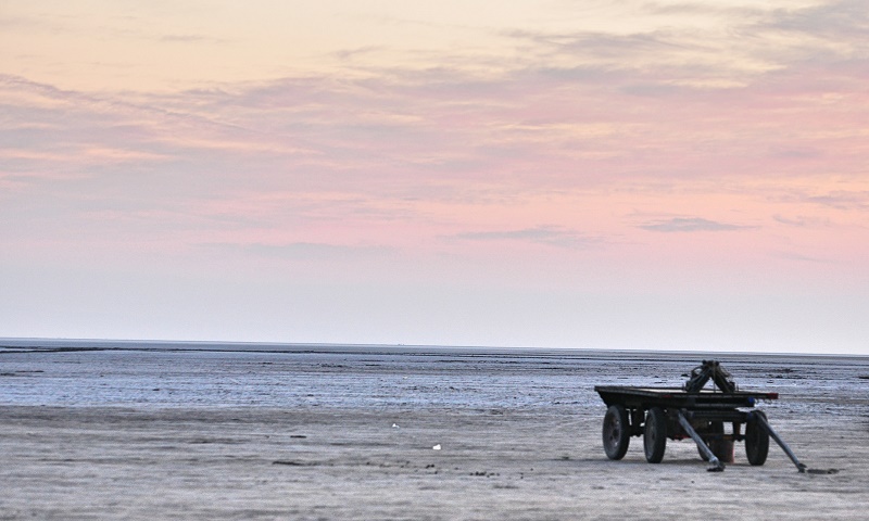 wheel-barrow-desert-new-love-times