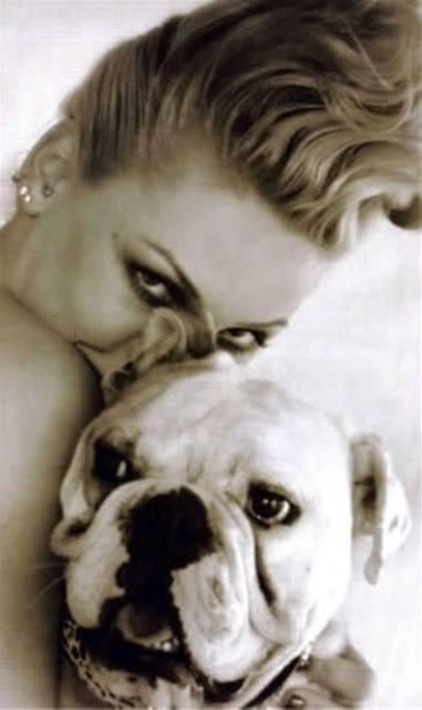 celebrity pet pink_New_Love_Times