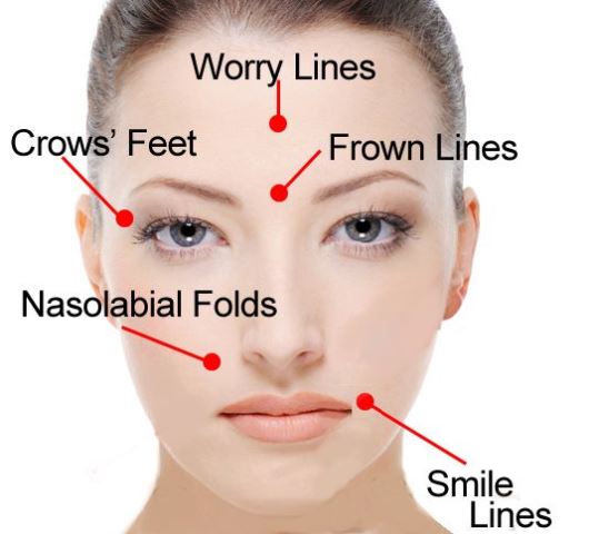 facial lines_New_Love_Times