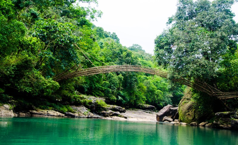 bamboo bridge, meghalaya_New_Love_Times