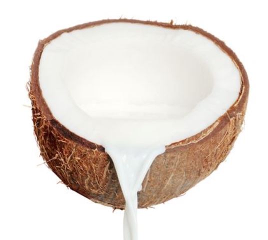 coconut milk_New_Love_Times