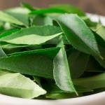 How To Use Curry Leaves To Boost Hair Growth