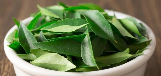 curry leaves_New_Love_Times