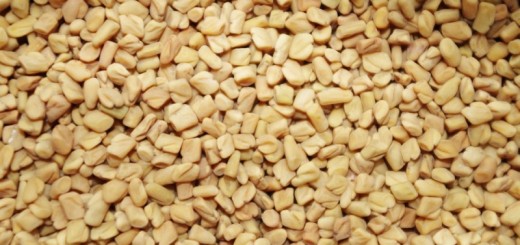 fenugreek seeds_New_Love_Times