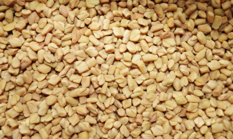 fenugreek seeds_New_Love_Times