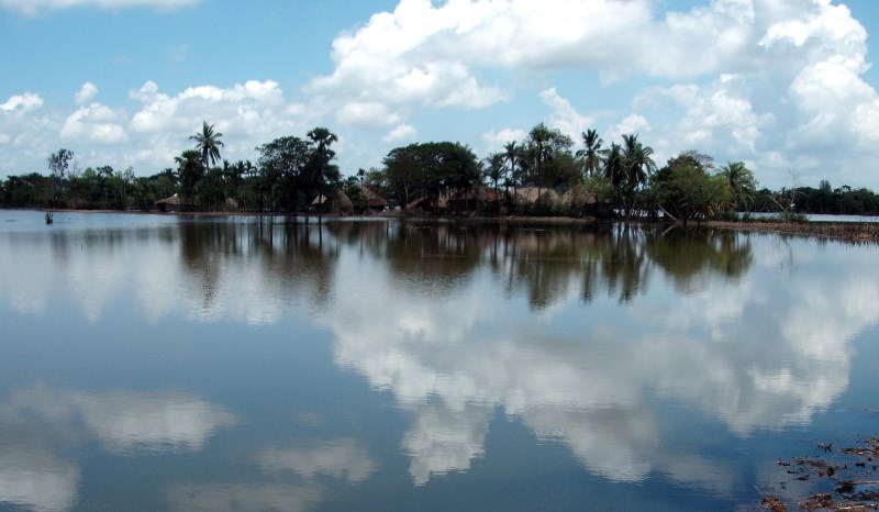 sunderbans_New_Love_Times