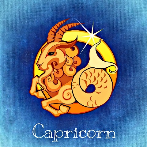 capricorn_New_Love_Times