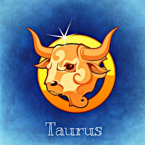 taurus_New_Love_Times