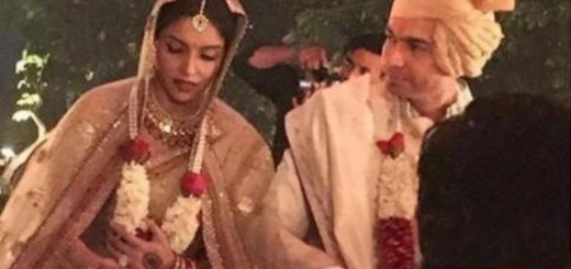 asin and rahul sharma wedding_New_Love_Times