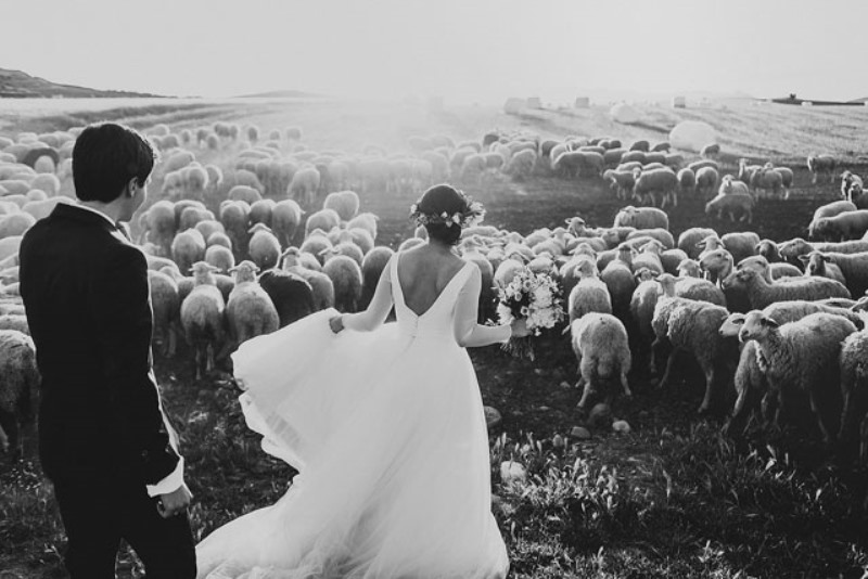 best wedding photo 2015_New_Love_Times