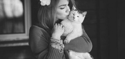 cat_New_Love_Times